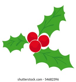 Mistletoe.