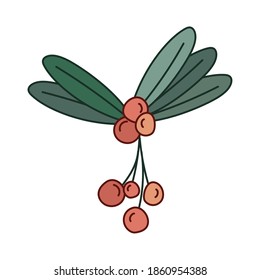 mistletoe with berries of red color vector illustration design