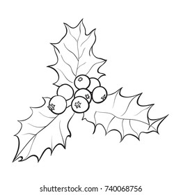 Mistletoe black and white branch with leaves and berries, holly berry Christmas decoration element, sketch vector illustration on white background.
