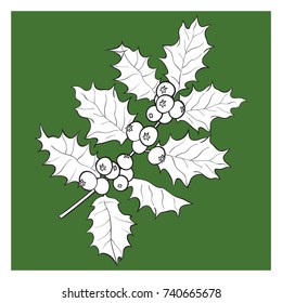 Mistletoe black and white branch, twig with leaves and berries, Christmas decoration element, sketch vector illustration on green background.