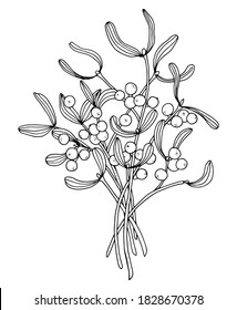 Mistletoe bouquet. Line art. Stock illustration. White background, isolate.