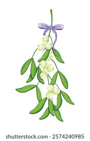 Mistletoe branch in cartoon style. Vector illustration of mistletoe branch with green leaves, light berries tied with purple bow with ribbons, isolated on white background. Christmas decoration.