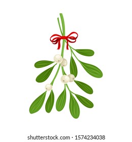 Mistletoe Branch Tied With Ribbon Vector Item