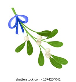 Mistletoe Branch Tied With Ribbon Vector Illustration