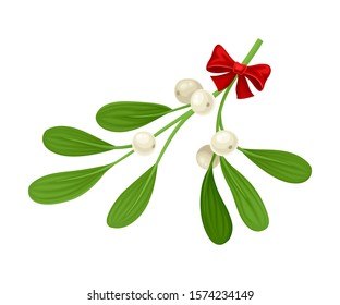 Mistletoe Branch Tied With Ribbon Vector Item