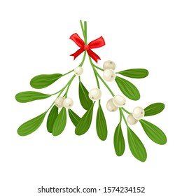 Mistletoe Branch Tied With Ribbon Vector Item