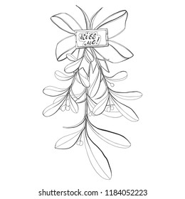 mistletoe branch. vector black hand-drawn marker