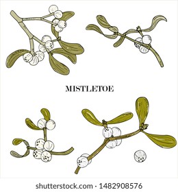 Mistletoe branches with berries and leaves sketch hand drawing. Traditional Christmas and New Year symbol. Botanical illustration, vintage, monochrome style. set  Retro vector illustration