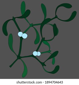 Mistletoe - Äste und Früchte. Dekorative Komposition. Vektorgrafik. Grafikkunst. Tapete. Verwenden Sie gedruckte Materialien, Schilder, Plakate, Postkarten, Verpackungen.