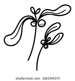 Mistletoe branches icon. Hand-drawn black and white vector illustration isolated on a white background.  