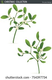 Mistletoe branches, isolated on white background. Christmas holiday objects collection. Traditional winter set. Happy new year. Xmas vector illustration for greeting card