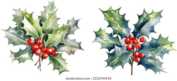 Mistletoe branches with red berries clipart, isolated vector illustration.