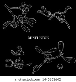 Mistletoe branches sketch hand drawing. Traditional Christmas and New Year symbol. Botanical illustration, vintage,Chalkboard style.set  Retro vector illustration. cards,textile,wrapper,decor