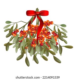 Mistletoe branches traditional decoration for christmas winter holidays decorated with red silk bow