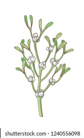 Mistletoe, Christmas decoration icon. hand drawn sketck. Merry xmas and Happy new year design element. Pastel  or waterecolor line art. Winter holiday vector ilustration isolated on white background
