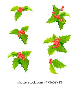 Mistletoe Christmas plants set with leaves and fruit. Holly berry decoration collection. Vector illustration