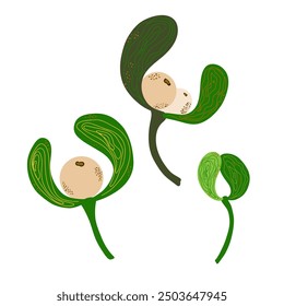 mistletoe flat cartoon style vector