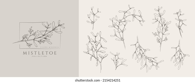 Mistletoe Floral logo and branch set. Hand drawn line winter plant, herb with elegant leaves for christmas invitation, save the date card