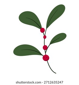Mistel Foliage Winter Ferienelement Grafikdesign Clipart einzeln