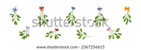 Similar – Image, Stock Photo Mistletoe with berries