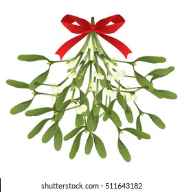 Mistletoe. Hand drawn vector illustration of mistletoe sprigs with red bow isolated on white background for Christmas cards and decorative design. 