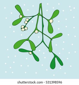 Mistletoe. Hand drawn vector illustration of mistletoe sprigs for Christmas cards and decorative design