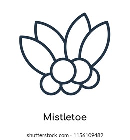Mistletoe icon vector isolated on white background, Mistletoe transparent sign , thin symbols or lined elements in outline style