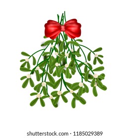 mistletoe isolated on a white background. Vector