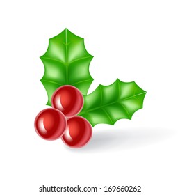 mistletoe isolated on white background
