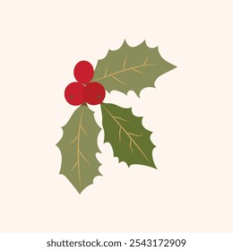 Mistletoe and leaf. holly berry, winter plant, chrismast traditional decoration. vector illustration. modern flat cartoon style