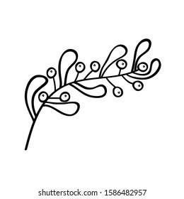 Mistletoe leafs  with berries. Нand drawn botanical illustration in doodle style for Christmas.Isolated object on white background.Element design  for  winter holidays,books, coloring, greeting card.