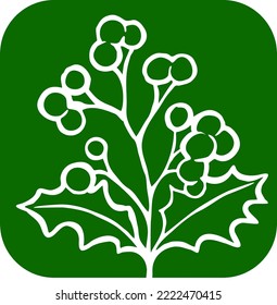 Mistletoe leaves and berries decorative vector element for Christmas and new year design. Traditional winter holidays green and red decoration. Hand drawn illustration, line style drawing.