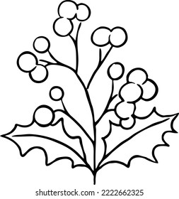 Mistletoe leaves and berries decorative vector element for Christmas and new year design. Traditional winter holidays green and red decoration. Hand drawn illustration, line style drawing.