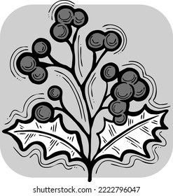 Mistletoe leaves and berries decorative vector element for Christmas and new year design. Traditional winter holidays green and red decoration. Hand drawn illustration, line style drawing.