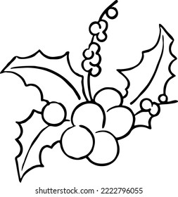 Hojas de mistletoe y bayas elemento vector decorativo para el diseño navideño y de año nuevo. Decoración roja y verde de las tradicionales vacaciones de invierno. Ilustración dibujada a mano, dibujo de estilo de línea.