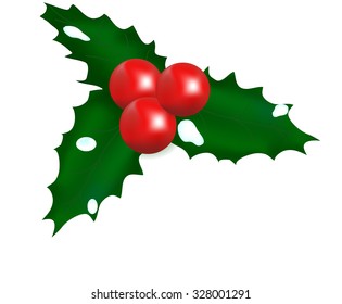 Mistletoe New Year's, a plant with berries, sharp leaves, wildlife, a Christmas decoration, snow on leaves, an ornamental shrub, a celebration symbol, winter ornament, red fruits, Christmas ornament,