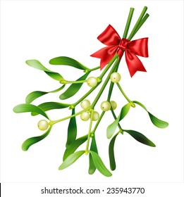 Mistletoe on white. Vector eps 10.