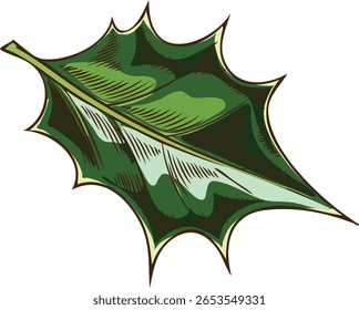 Mistletoe one green leaf vector sketch. Hand drawn Holly berries species plant, ilex twig. Christmas and New Year holiday festive floral decoration. Mulled wine ingredient