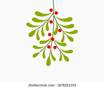 Mistletoe plant hanging. Christmas vector illustration.