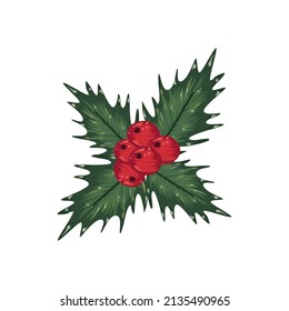 mistletoe plant icon with berries