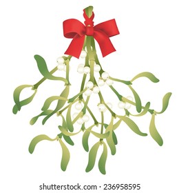 Mistletoe with red ribbon. Hand drawn vector illustration of a hanging branch of mistletoe tied with a red ribbon. 