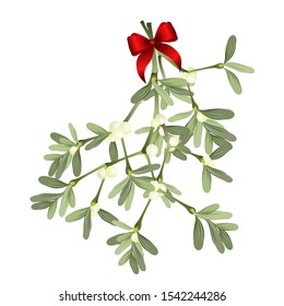 Mistletoe sprig with red bow isolated on white background, vector illustration for Christmas cards and decorative design.