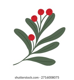 Mistletoe sprig vector illustration with green leaves and red berries. Festive holiday design for Christmas decor, greeting card, invitation and clipart.