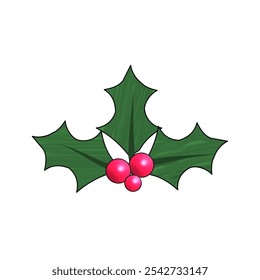 mistletoe with three leafs and three berries