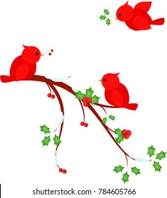 Mistletoe Tree Branch Vector, Red Cardinals Bird Vectors