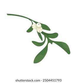 Mistletoe twig with white berries. Vector christmas plant decoration of mistletoe isolated on white background. Design frame element for print, card, flyer, banner