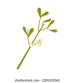 Mistletoe. Vector cartoon flat element Isolated on white background.	