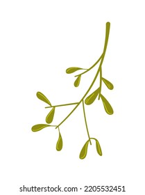 Mistletoe. Vector cartoon flat element Isolated on white background.	