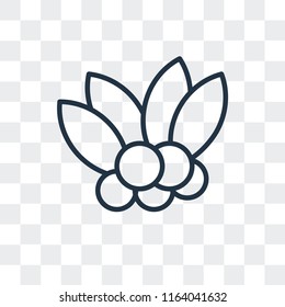 Mistletoe vector icon isolated on transparent background, Mistletoe logo concept