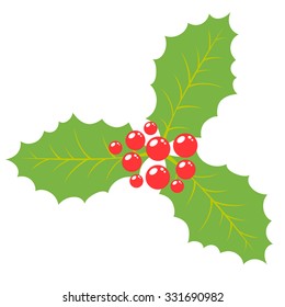 Mistletoe vector illustration